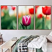 3 Piece Framed Canvas Wall Art Colorful Bouquet Canvas Prints Home Artwork Decoration for Living Room,Bedroom - 16