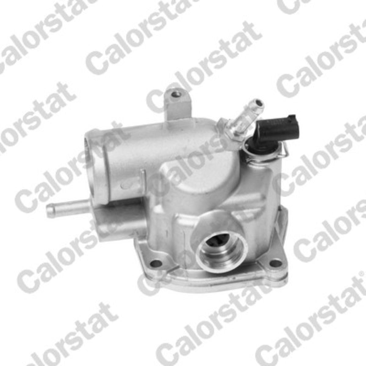 Calorstat TH6884.92J Thermostat d'eau