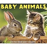 Baby Animals 2020 Box Calendar