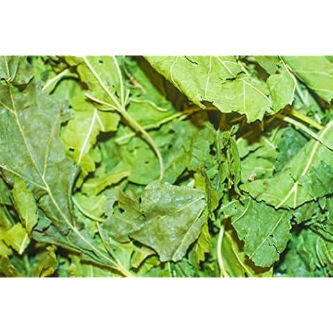 Mulberry Leaves Food for Shrimp Snails Plecos Nerites Ramshorns (100g) Cover