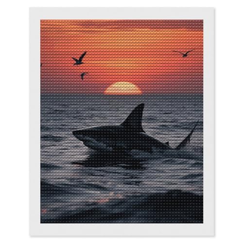 Peinture diamant requin 5D foret rond complet toile adhesive haute definition FodPand