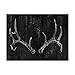 Trademark Fine Art Ua Ch Rustic Antlers Ii by Ethan Harper, 24x32-Inch
