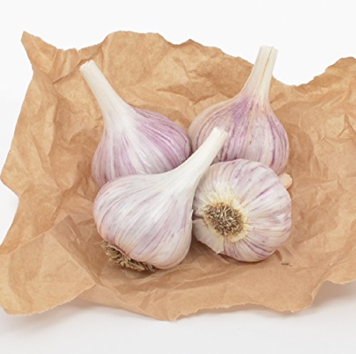 Gourmet Chesnok Red Garlic Bulbs Hard Neck - 4 Bulbs - Garlic To Plant For Fall Planting - Non-GMO Organic Grown - Image 4