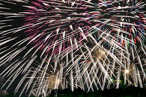 【日本の風景ポストカード】滋賀県大津市琵琶湖大花火大会2003年の葉書２ハガキはがき photo by MIROのサムネイル