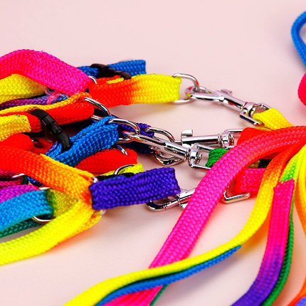 Pet Bird Harness And Leash With Buckle Adorable Rainbow Design Safe Parrot Leash Pet Harness Outdoor Adjustable Anti Bite Training Rope For Macaw Large Size Bird (1.5Cm × 47.24In) #TOP3