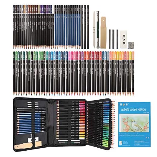 YBLANDEG Sketching and Drawing Colored Pencils Set 96-Pieces,Art Supplies Painting Graphite Professional Art Pencils Kit,Gifts for Teens & Adults Drawing Charcoal Tool Set