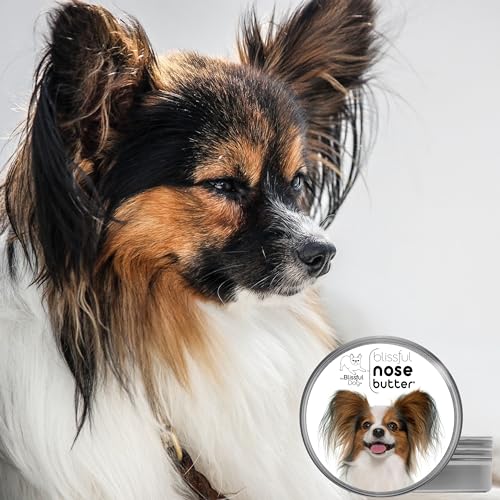 Image of The Blissful Dog Papillon Unscented Nose Butter - Dog Nose Butter, 1 Ounce