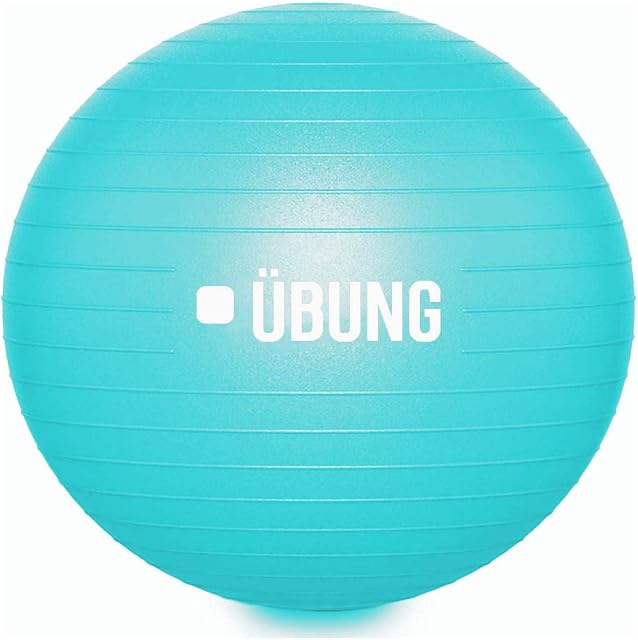 ubung Yoga Ball Anti Burst Exercise Fitness Ball 65cm Swiss Ball with Pump Non Slip Heavy Duty Ball Chair for Fitness Gym Yoga Balance Stability Pilates Pregnancy and Labour