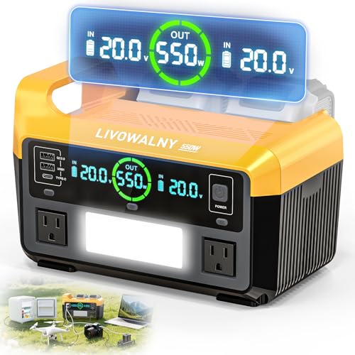 LIVOWALNY 550W Power Inverter Compatible with DeWALT 20V Battery DC 20V to AC 110-120V Pure Sine Wave Power Station with 2 AC Outlets 2 USB-A & 1 Type-C for Camping Power Outage (Tool Only)