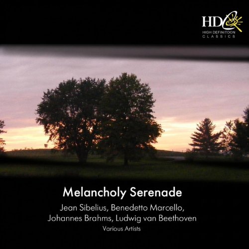 Amazon.co.jp Melancholy Serenade VARIOUS ARTISTS デジタルミュージック