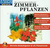  Zimmerpflanzen, Das große interaktive Lexikon