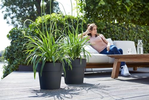 Elho Vibia Straight Rond 30 - Pot De Fleurs pour Extérieur - Ø 29.3 x H 28.0 cm - Noir/Anthracite – Image 8