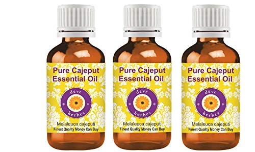 Huile essentielle de Cajeput Melaleuca cajeputi pure distillillation vapeur lot de 3