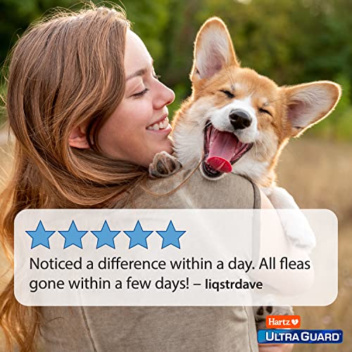 Image of Hartz UltraGuard Flea And Tick Dog Spray, Kills And Repels Fleas And Ticks, 16 Ounce
