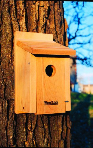 Woodlink Nacopbb Audubon Coppertop Cedar Bluebird House #TOP5