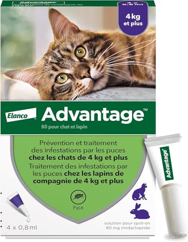 Advantage Chat & Lapin de plus de 4 kg – Pipettes anti puces chat pour prévention des infestations – Traitement anti puces lapin pour une protection en continu...
