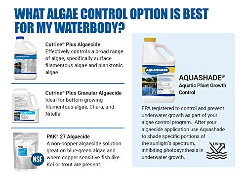 Aquashade Blue Pond Dye - 1 Gallon EPA-Approved Sunlight Blocker for Algae - Weed Suppression - Safe for Fish, Livestock and Swimming - Eco-Friendly Liquid Treatment for Water by APPLIED BIOCHEMISTS - Image 3