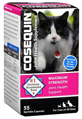 Best Appetite Stimulant For Cats