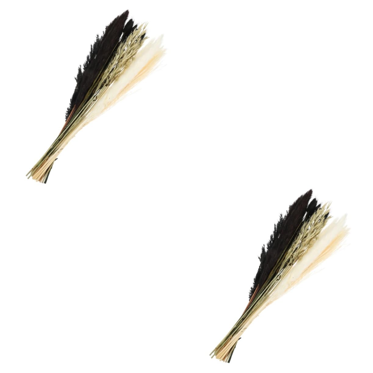 Alipis Bouquet Di Fiori Secchi Naturali Con Canne Dried Reeds Decorazione Per Casa Stile Rustico Adatto Cucina Camera Da Letto e Feste Senza Manutenzione e Realizzato Con Materiali Sicuri