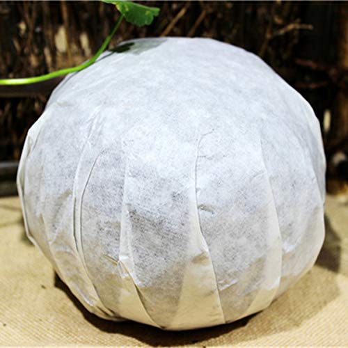 通用 Té Crudo PU Erh Té de Yunnan Natural Puer 1000g Té de Tributo de melón Dorado Comida Sana - Imagen 3
