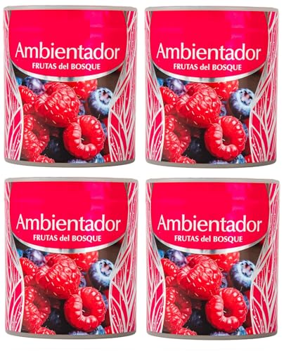 PCMOVILES Ambientador de Gel Frutas del bosque 95 g – Pack de 4 Unidades – Larga Duración – Frescor para Casa, Habitación, Armario, Coche – Aroma Frutal Dulce