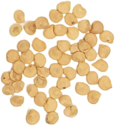 Miniatura 4 de Semillas de pimiento jalapeño orgánico, paquete de semillas de más de 40 semillas polinizadas abiertas sin OMG Sweet Yards Seed Co.