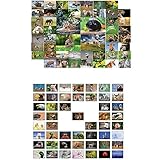 tierpostkarten waldtiere Made in Germany - Entwickelt und hergestellt hier in Deutschland von deutschen Unternehmen.