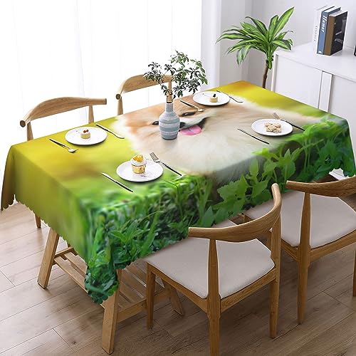 Nappe de table infroissable et lavable pour éliminer les corvées