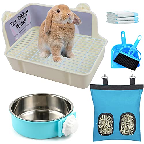 Find The Best Litter Box For Rabbits 2023 Reviews