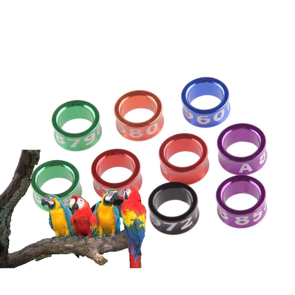 Forniture per piccioni Anelli per Piedi Piccione Uccelli Martello Maglio per Gamba di quaglia Strumenti Piccione Alluminio Numero Casuale/Colore Anello per Coscia 200pz Mixed colors6.0mm