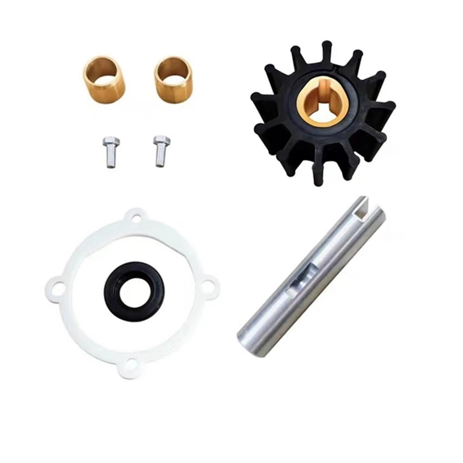 Kit de réparation de pompe à eau évite la surchauffe moteur AQ131 AQ145