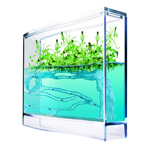 Antquarium - 6146661 - Jeu Éducatif - Super Foret de Fourmis