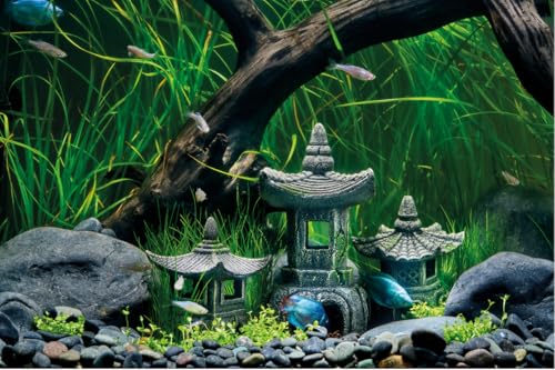 Eden 95231 Asien Tempel W - detailreiche Aquariumdekoration, ideale Versteckmöglichkeit für Aquarienbewohner, individuelle Aquariumgestaltung