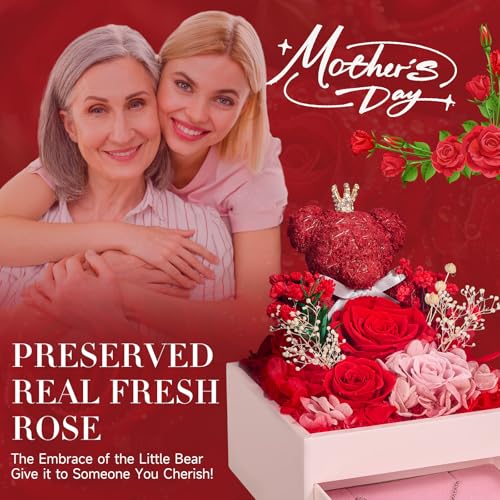 Eeuwige Roos Geschenk voor Vrouwen | met Hartvormige Halsketting voor Dames | Infinity Roos en Mosbeer Cadeaudoos voor Mama, Vrouw, Vriendin, Oma | Voor Verjaardag, Kerst, Valentijnsdag, Moederdag - Afbeelding 5