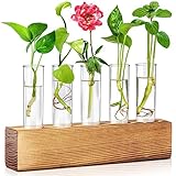 propagation delay calculator Einfach zusammenzubauen und zu reinigen: Für den Zusammenbau dieses Terrariums sind keine Werkzeuge erforderlich. Die abnehmbaren Rohre erleichtern die Reinigung und den Wasserwechsel, ohne die Wurzeln der Pflanze zu beeinträchtigen.