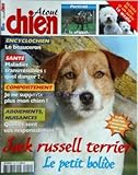 ATOUT CHIEN [No 241] du 01/03/2006 - le jack russell terrier - le whippet - le westie -le beauceron - maladies transmissibles - quel danger - je ne supporte plus mon chien - aboiements, nuisances - vos responsabilites