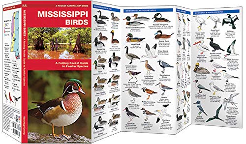 Mississippi Birds: A Folding Pocket Guide To Familiar Species (Wildlife And Nature Identification) #TOP1
