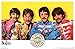 Trends International RP14589 The Beatles Sgt. Peppers Wall Poster, 22.375" x 34"