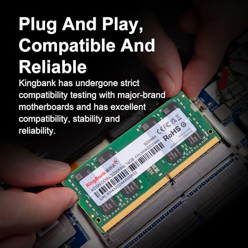 Amazon.com: KingBank Official : All Product