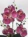 Imiee Silk Flowers with Pot 31cm in Height Artificial Orchid Phalaenopsis Arrangement Flower Bonsai with Vase for Room Table Centerpieces-H:12”