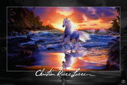 HUGE LAMINATED ENCAPSULATED Christian Riese Lassen Free Spirit White Horse Ocean Beach Poster Measures 36 x 24 inches (91.5 x 61 cm )