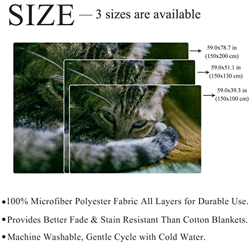 Couverture en peluche chat et couvertures chaudes douces de sieste - 4