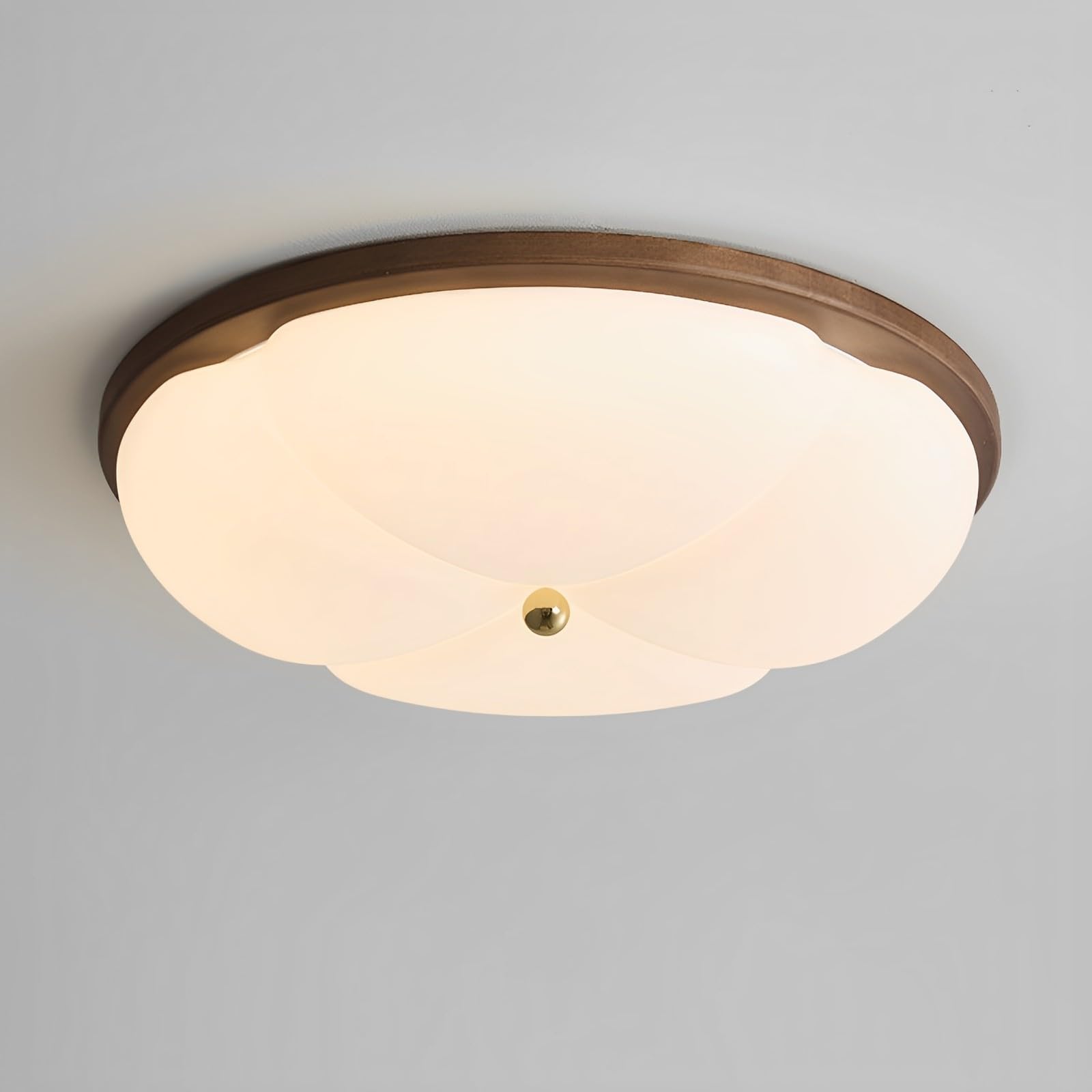 SXDMOUBK Modern Round Ceiling Light Low Profile LED Ceiling Light Fixtures Simple Wood Ceiling Light Flush Mount Ceiling Lights For Bedroom Entrance Living Room Hallway