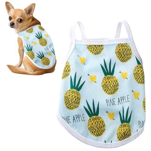   Vc   Ȃ ʋC Lk _炩  xXg bV ^Ngbv ^ ^ L ybgp hbOEFA m    U o (L, pCibv)