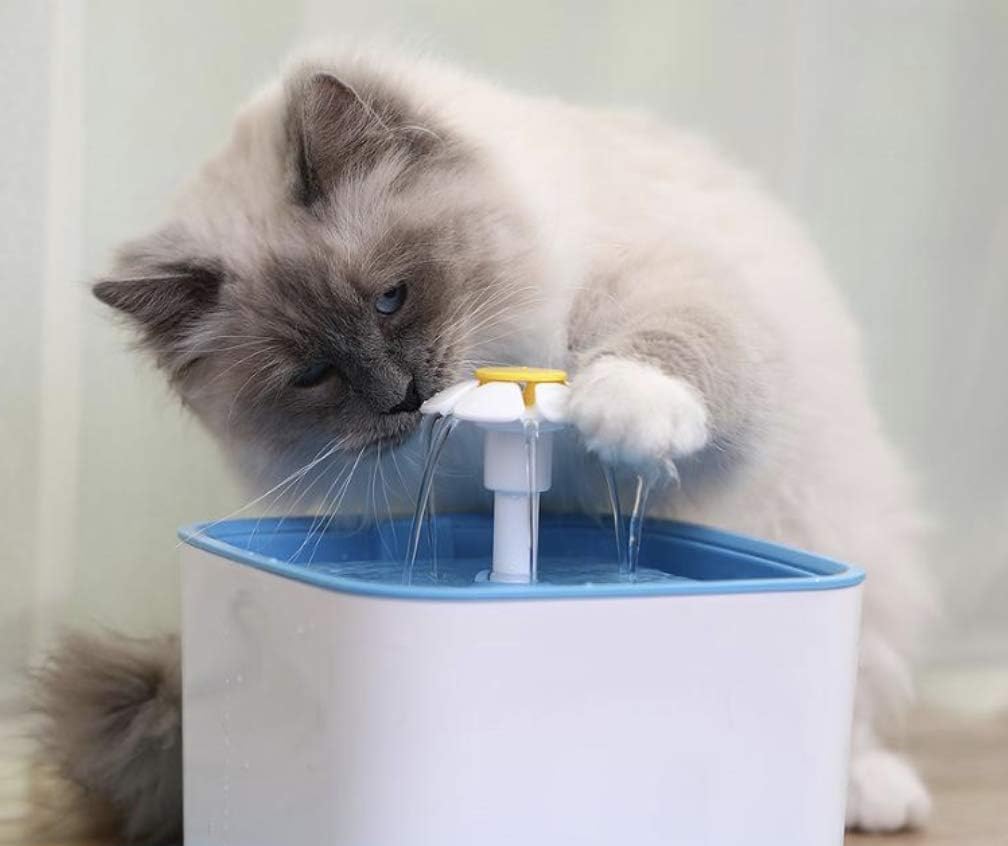 Cat and Dog Water Fountain w/ 3 Carbon - Ion Exchange Filters : 84 Oz / 2.5L Capacity : Provides Fresh Filtered Water for Your Pet