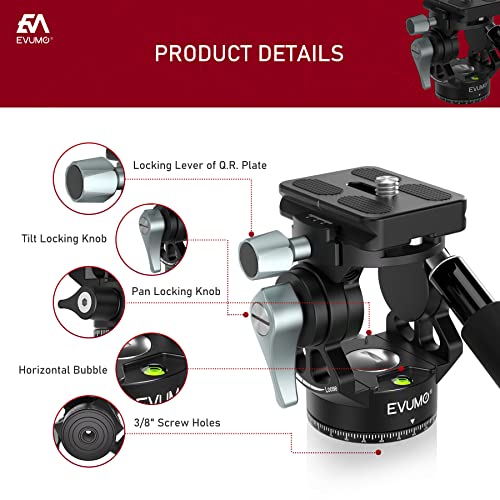Lightweight Mini Fluid Video Tripod Head, Evumo 360° Panoramic Compact Camera Video Head For Tripod Dslr Camcorder Telescope, With Quick Release Plates & Detachable Handle, Max Load 8.8Lbs/4.0Kg #TOP2