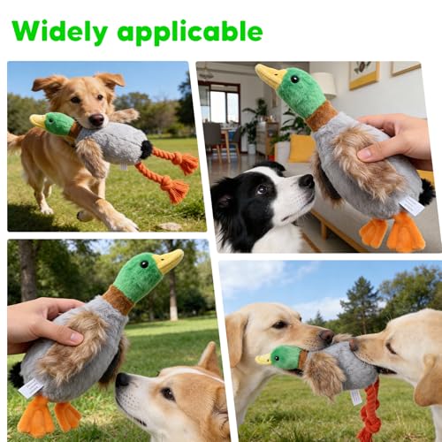 Set 4 juguetes sonoros para perros pequeños y medianos miniatura 5