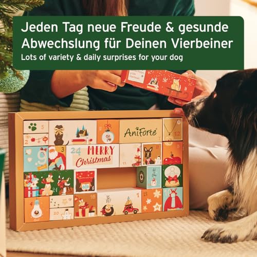AniForte Premium Adventskalender für Hunde 2025 - Natürliche Hundesnacks, Leckerli & Produkte, Weihnachtskalender XXL für alle Altersstufen, getreidefrei