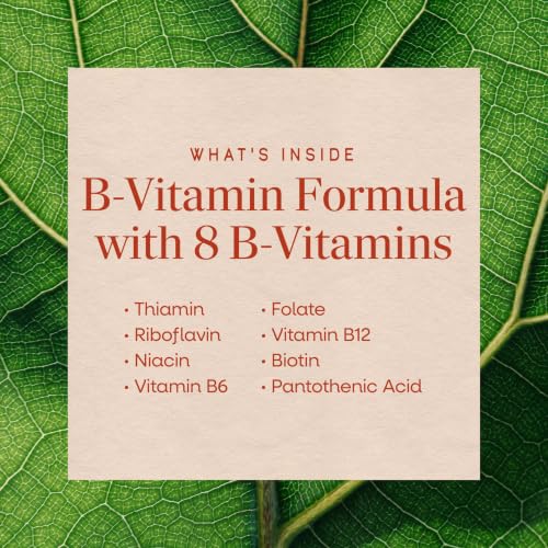 Nature's Way B-50 Complex, Supports Cellular Energy & Nerve Health*, 8 B-Vitamins, With Folic Acid, Biotin, Niacin & More, Gluten Free, 100 Capsules (Packaging May Vary) - image 4