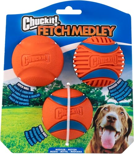 Image of Chuckit! Dog Balls - Interactive Dog Toys, High-Bounce Fetch Ball, Floating Ultra and Rugged Balls, Durable - Size Medium, 2.5-inch Diameter, Set of 3 (Pack of 12)